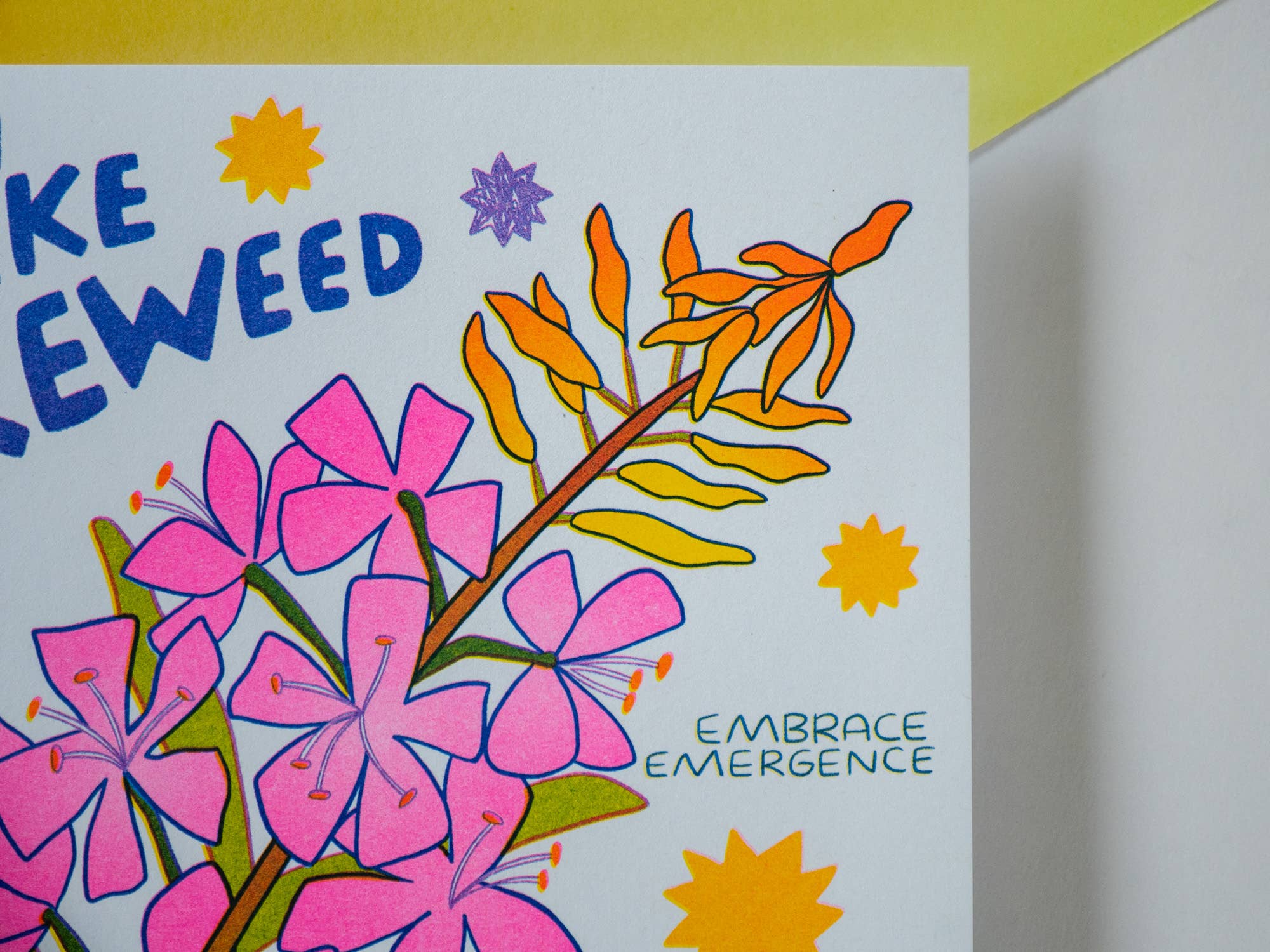 We Can Be Like Fireweed - Risograph Art Print