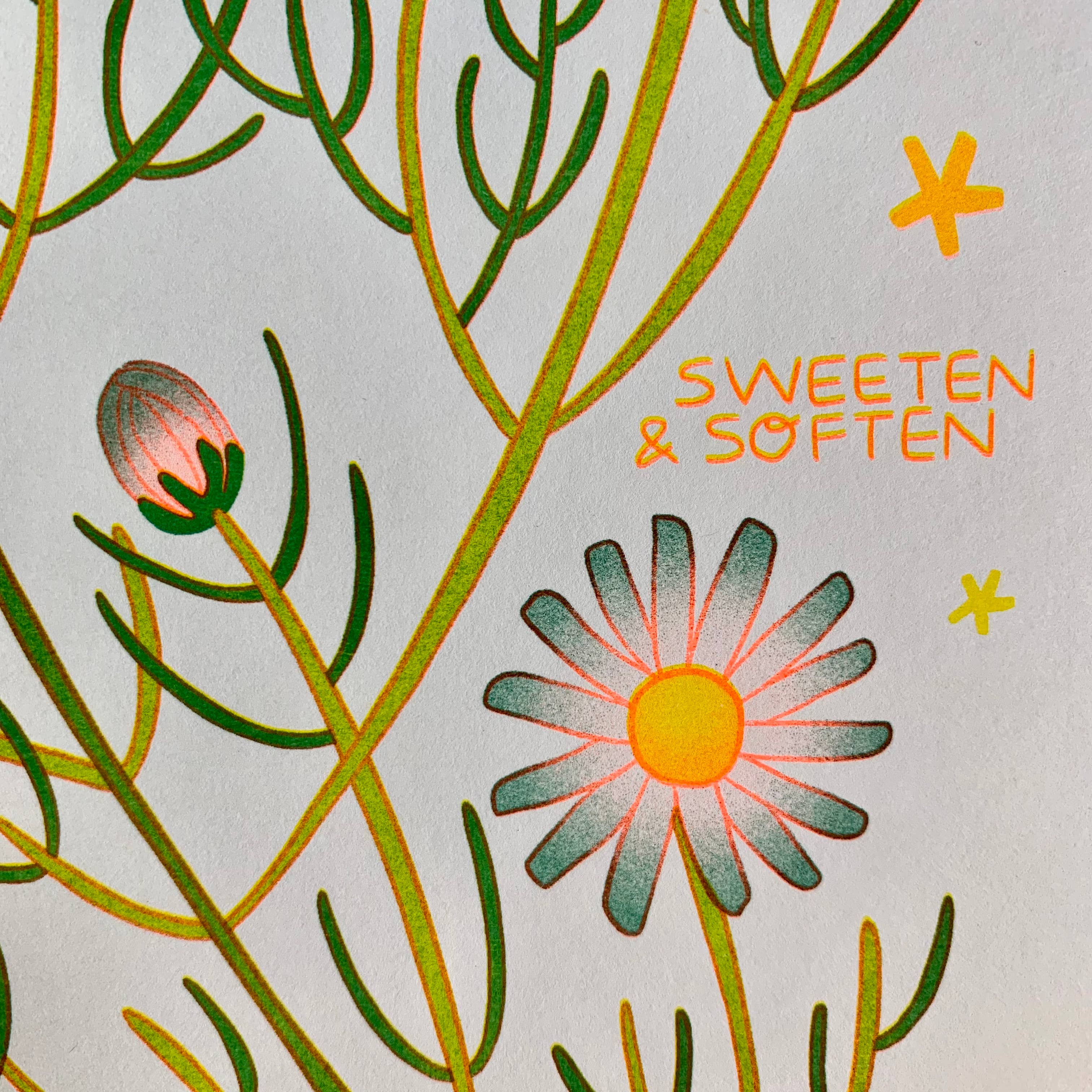 We Can Calm Like Chamomile - Risograph Art Print