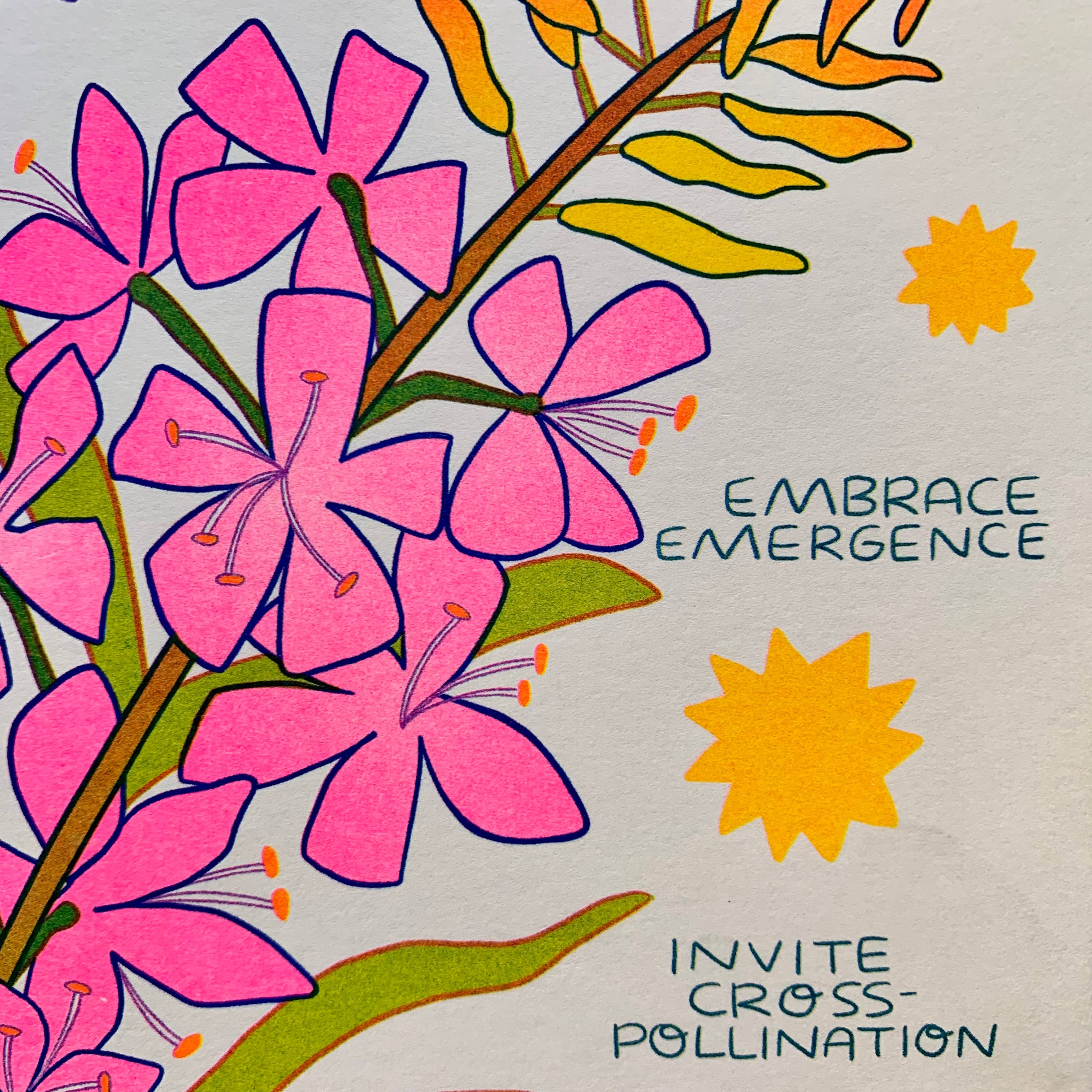 We Can Be Like Fireweed - Risograph Art Print