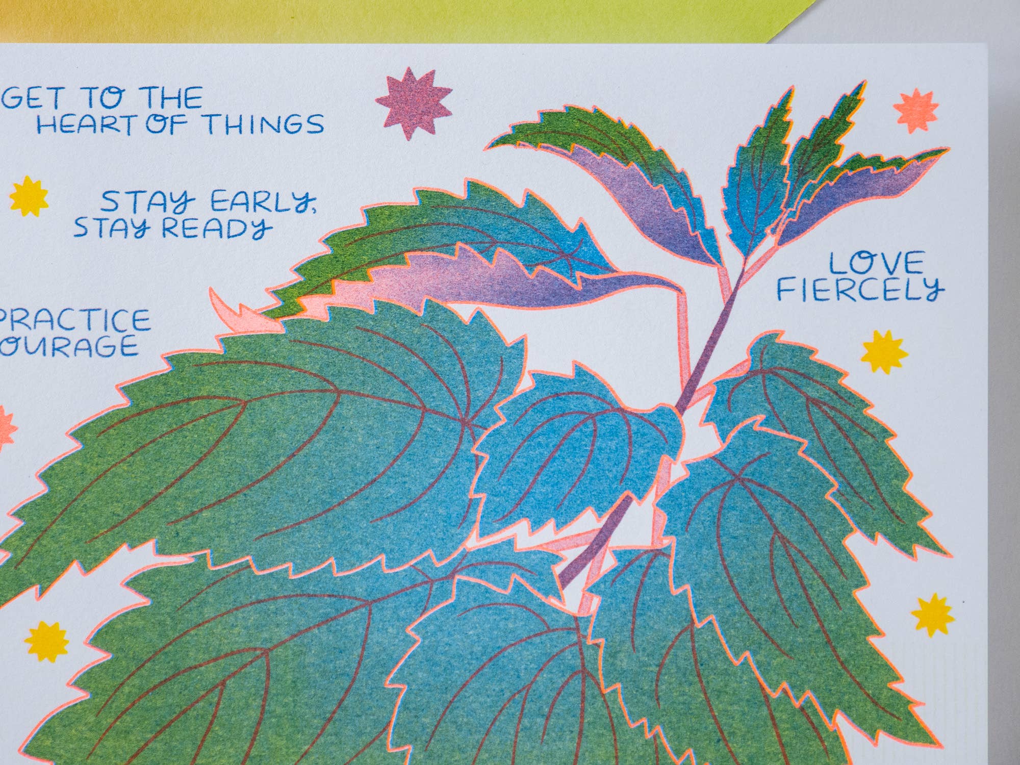 We Can Know Like Nettles - Risograph Art Print