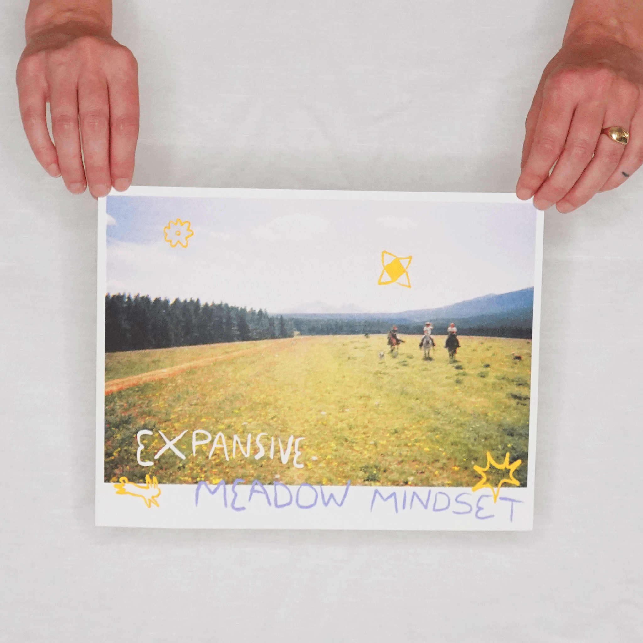 Expansive Meadow Mindset Poster