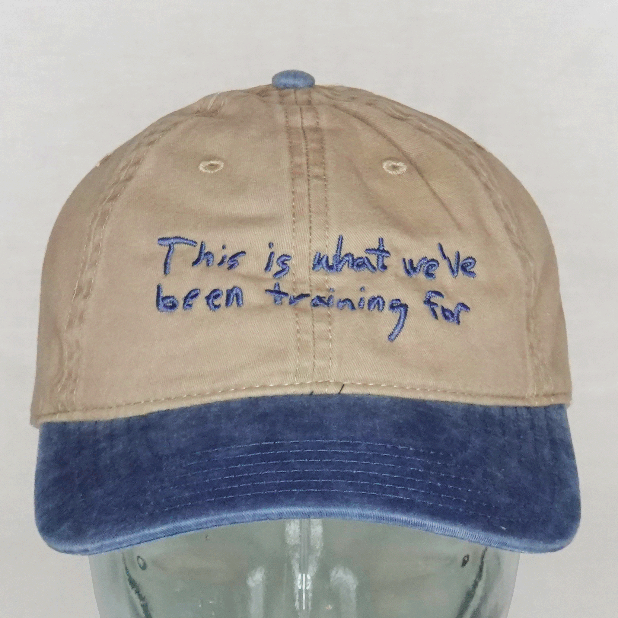 This is What We've Been Training For Hat
