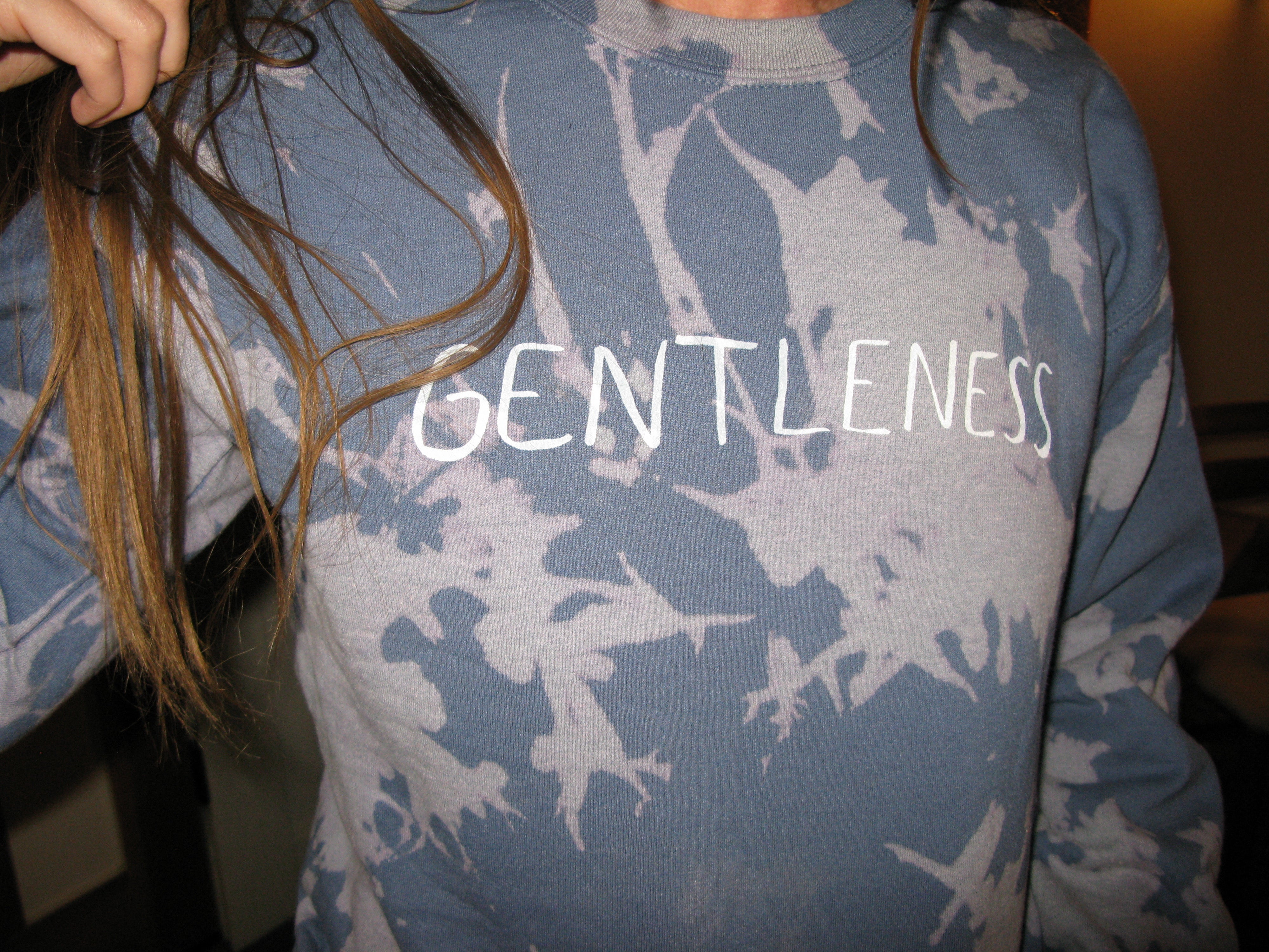 Gentleness Sweatshirt