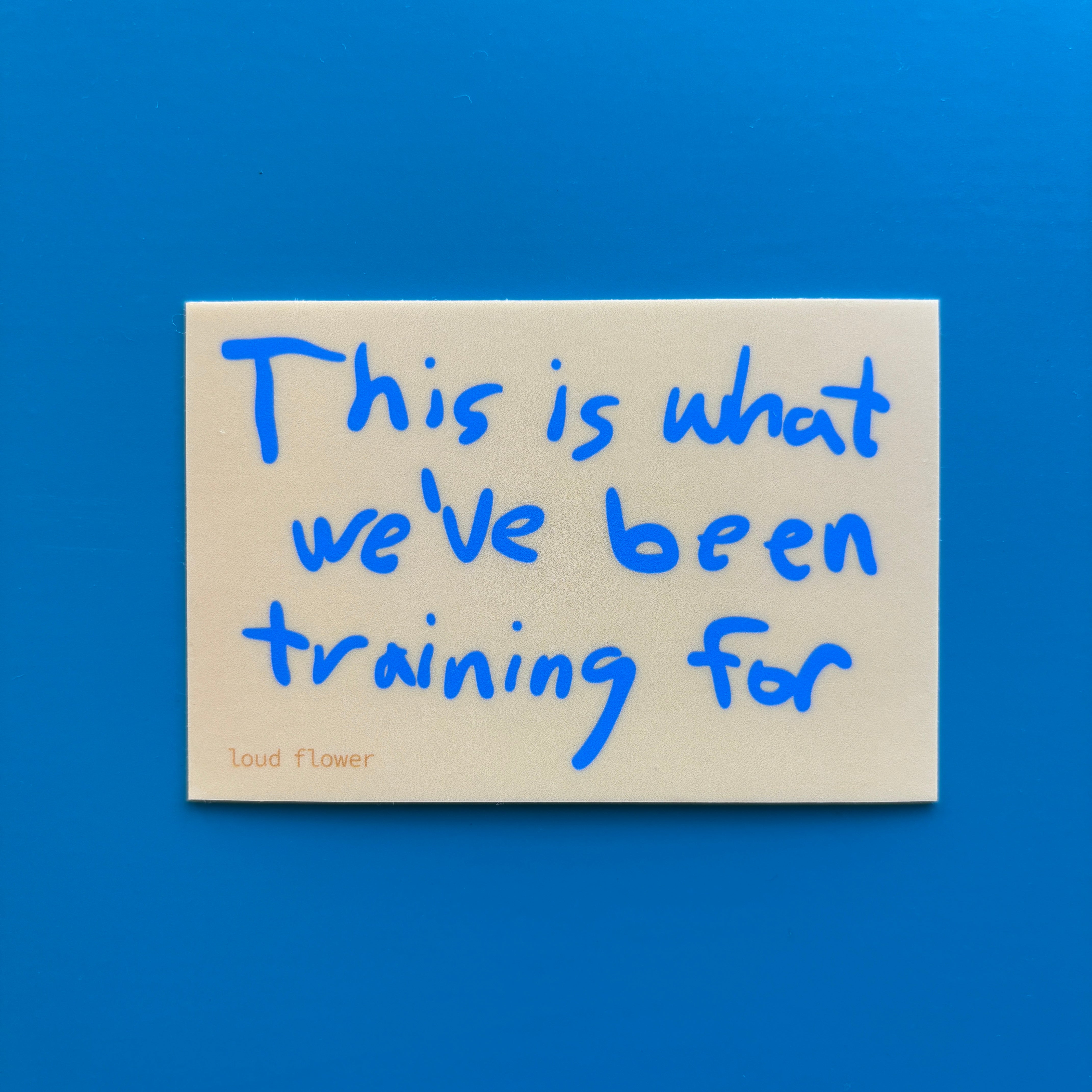 This is What We've Been Training For Sticker