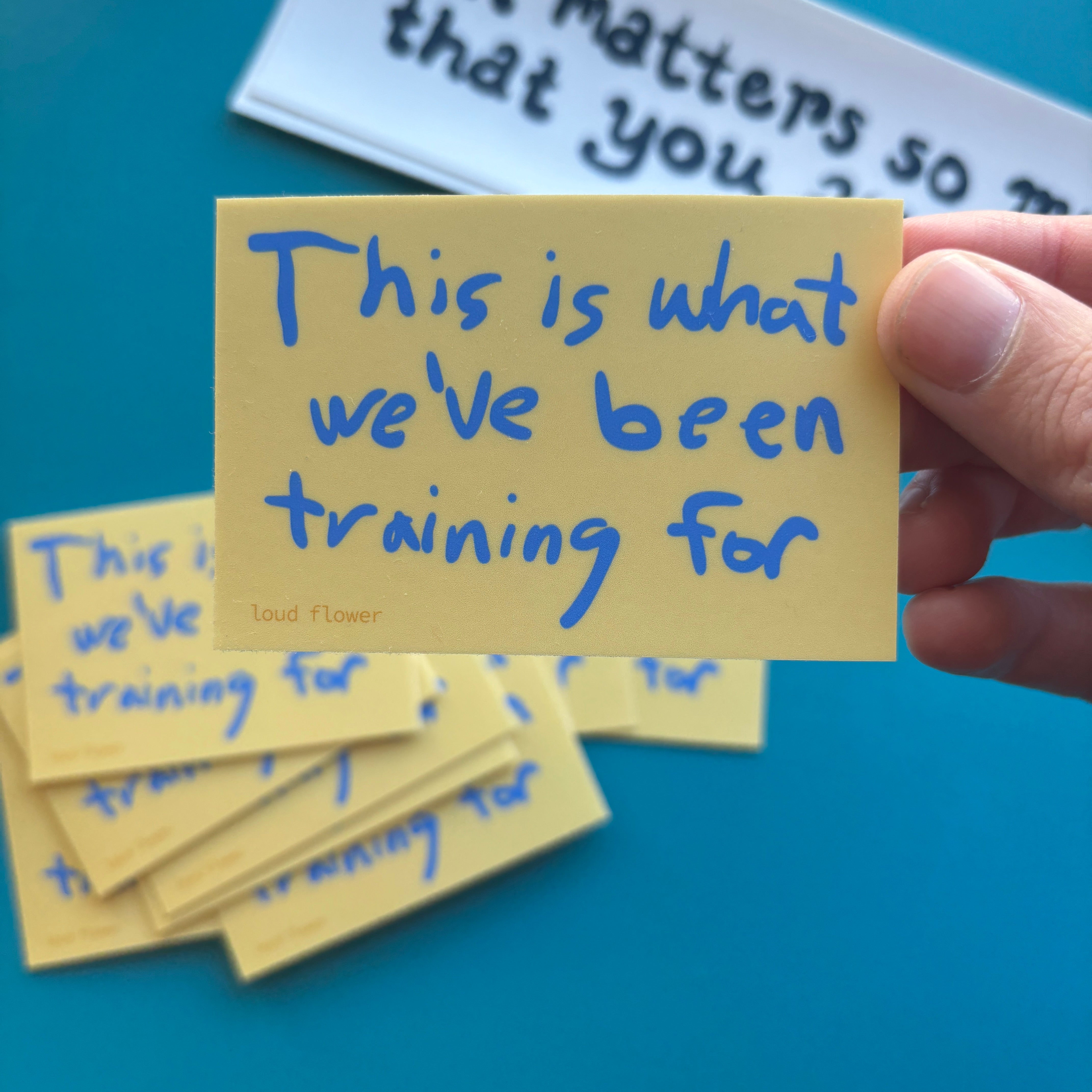 This is What We've Been Training For Sticker