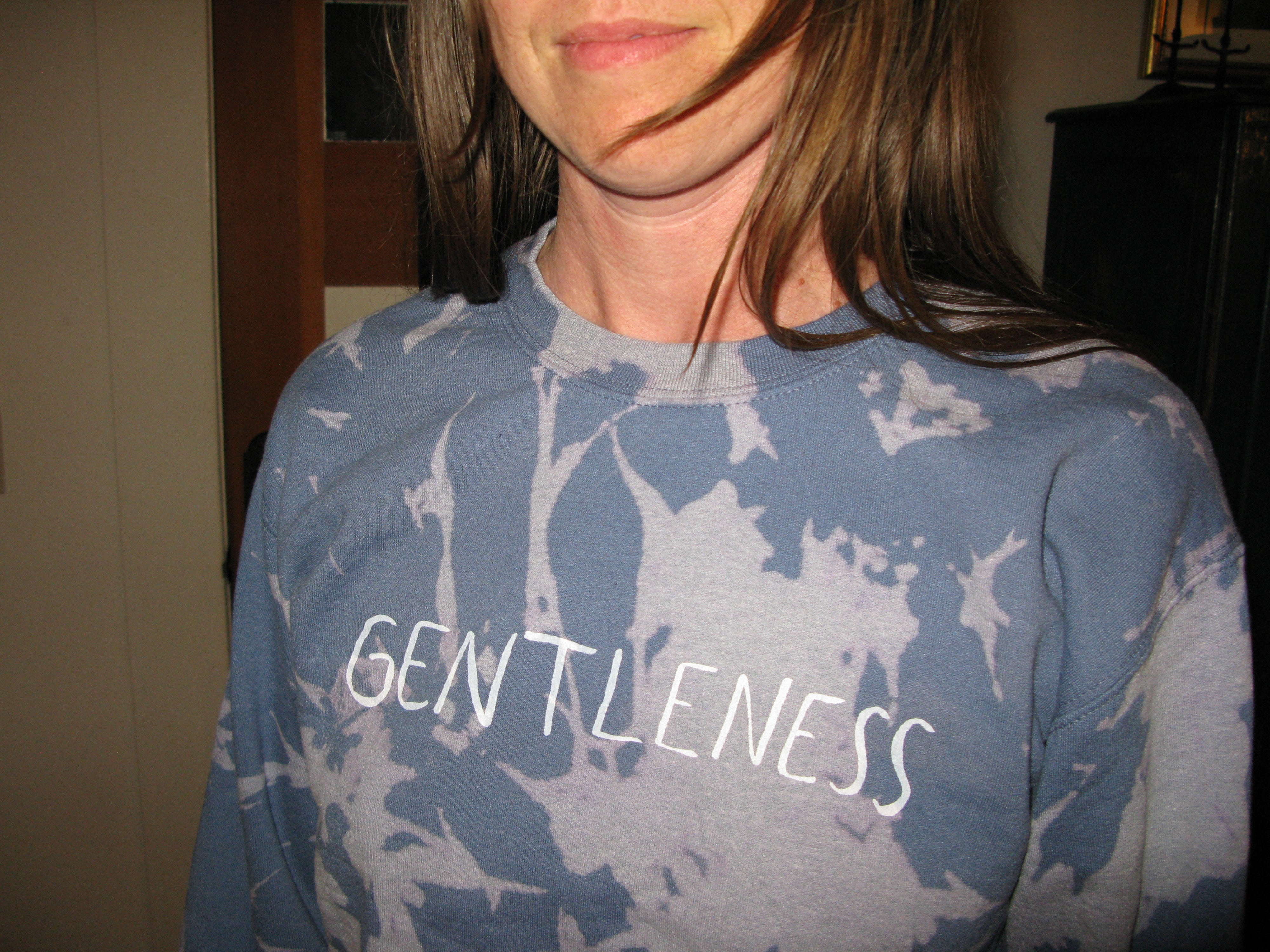 Gentleness Sweatshirt