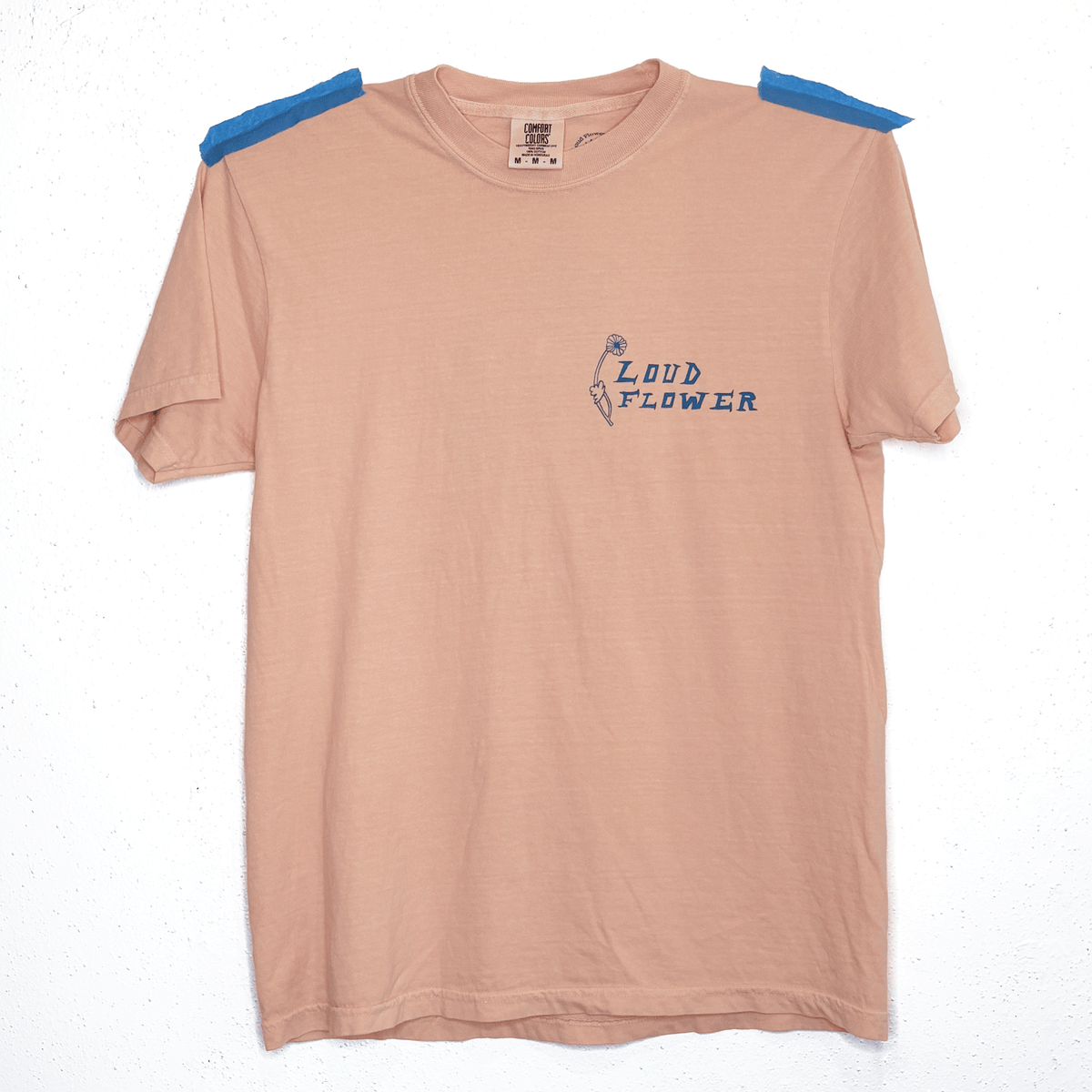 Unicorn and Bee Shirt